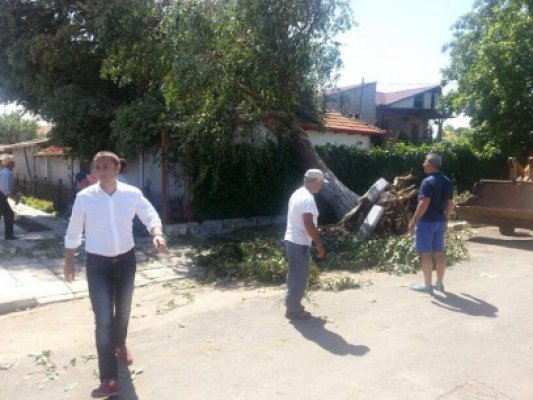 Primarul Mangaliei: Am evaluat pagubele după furtună şi am dispus primele măsuri de intervenţie